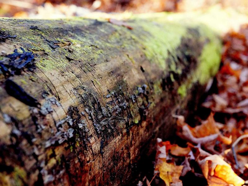 android screenshot 1